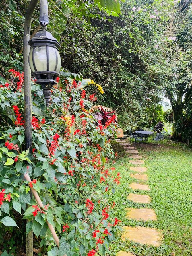 Finca Hotel Los Girasoles Montenegro Exteriör bild