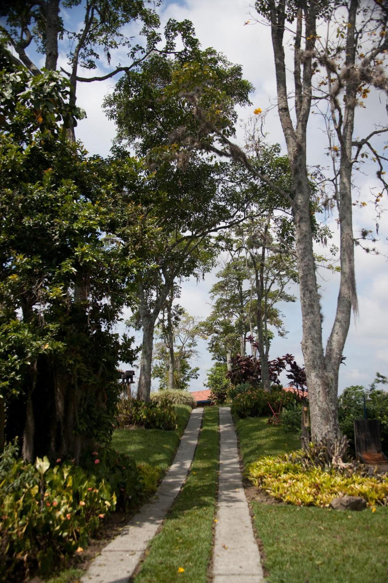 Finca Hotel Los Girasoles Montenegro Exteriör bild